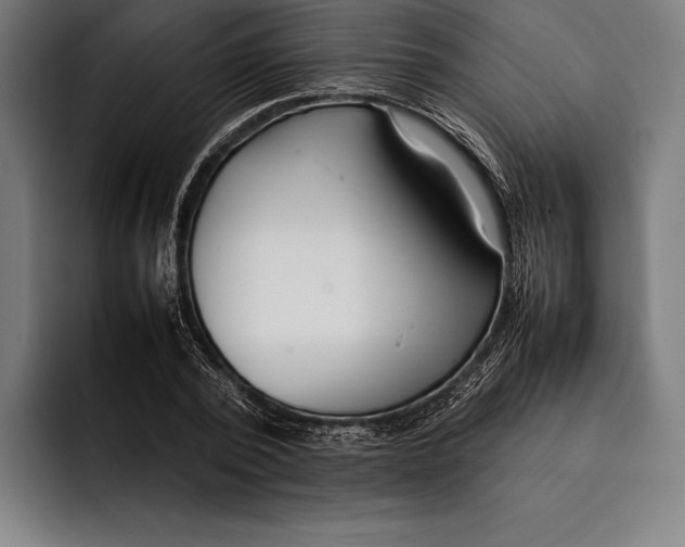 X0000092240784200710121236