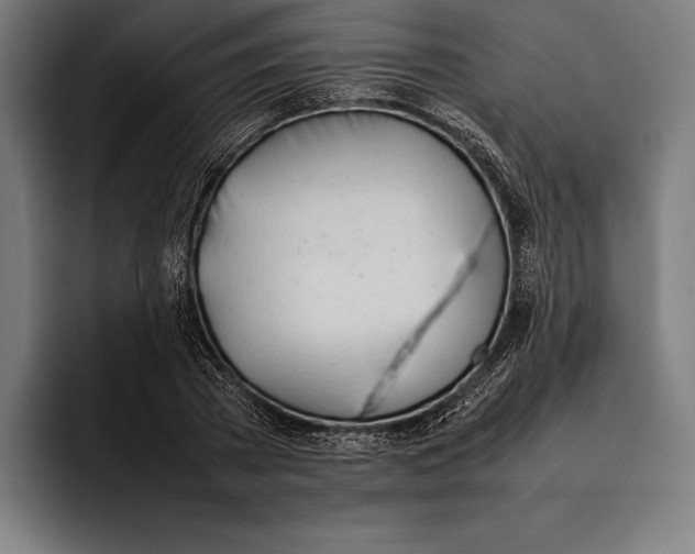 X0000092240785200710121236