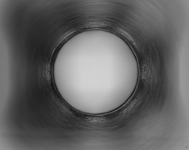 X0000092240786200710121236