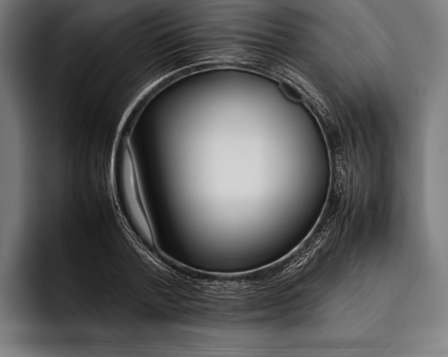 X0000092240788200710121236