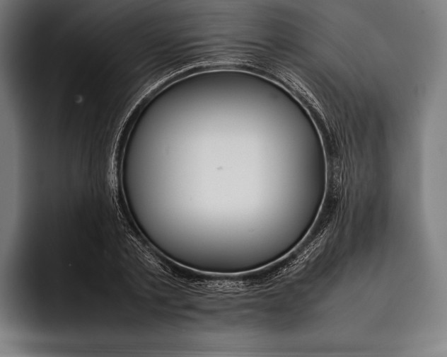 X0000092240789200710121236