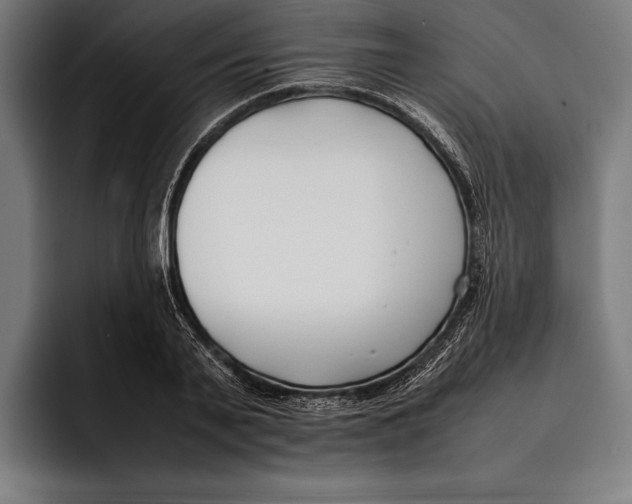 X0000092240791200710121236
