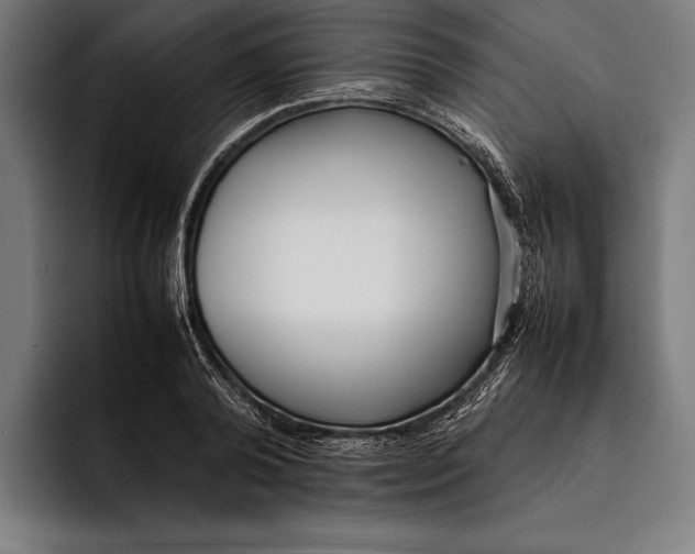 X0000092240792200710121236