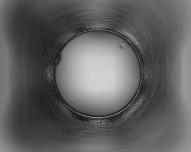 X0000092240793200710121236