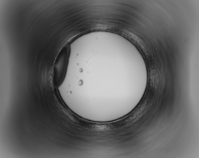 X0000092240794200710121236