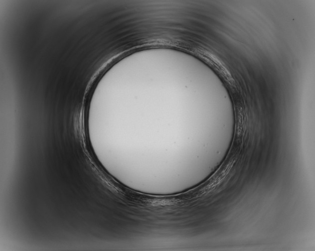 X0000092240796200710121236