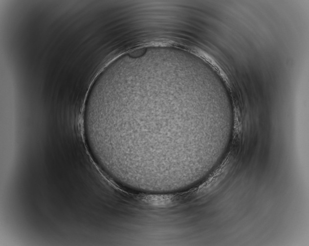 X0000092240802200710121235
