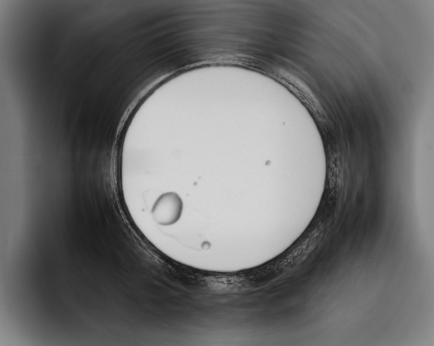 X0000092240804200710121235