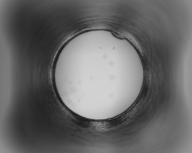 X0000092240805200710121235