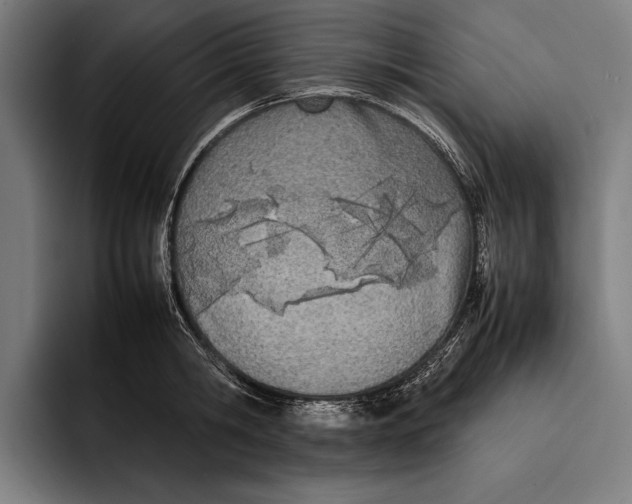 X0000092240806200710121235