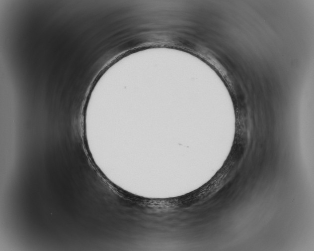 X0000092240807200710121235
