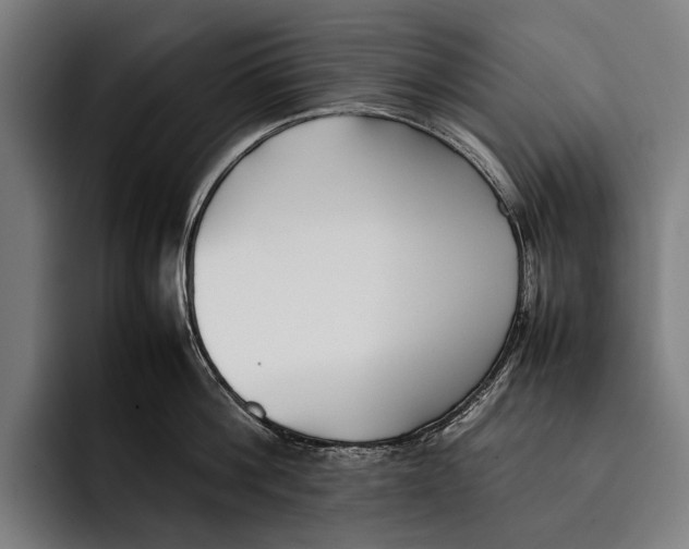 X0000092240812200710121235