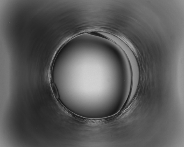 X0000092240813200710121235