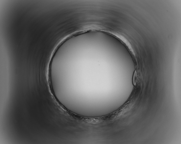X0000092240815200710121235