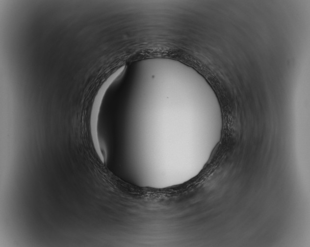 X0000092240818200710121235