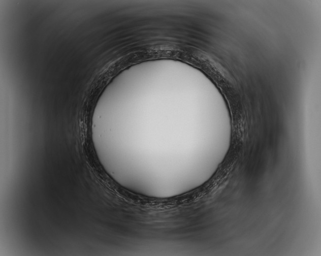 X0000092240821200710121235