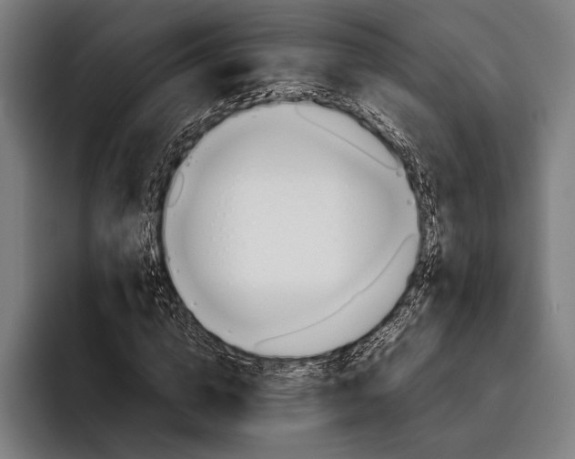 X0000092240824200710121235