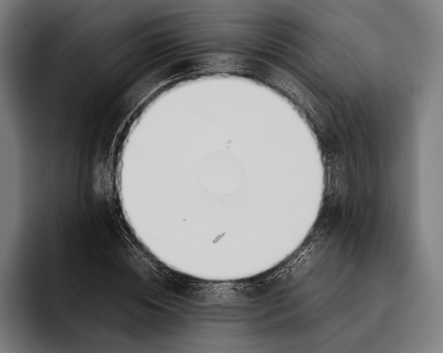 X0000092240828200710121235