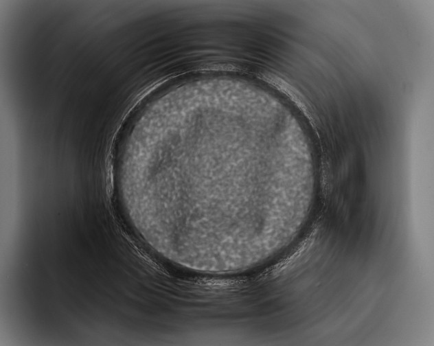 X0000092240829200710121235