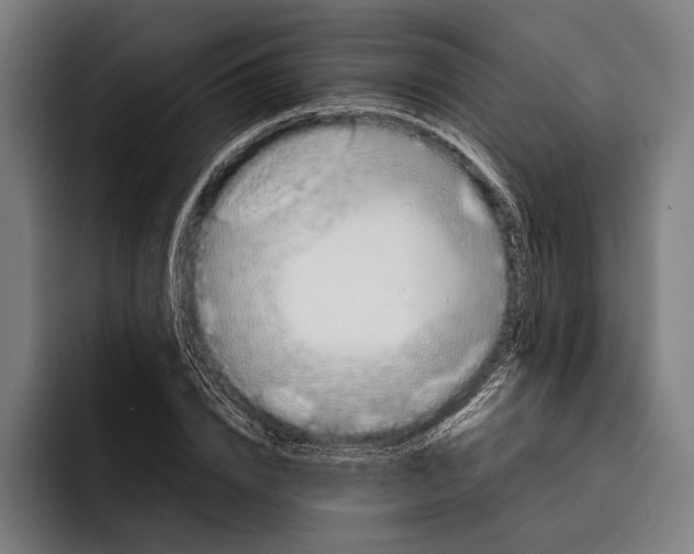 X0000092240832200710121235