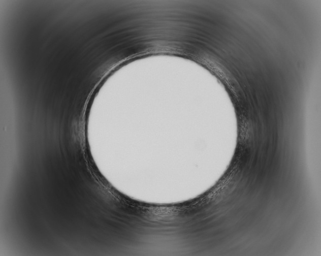 X0000092240836200710121235