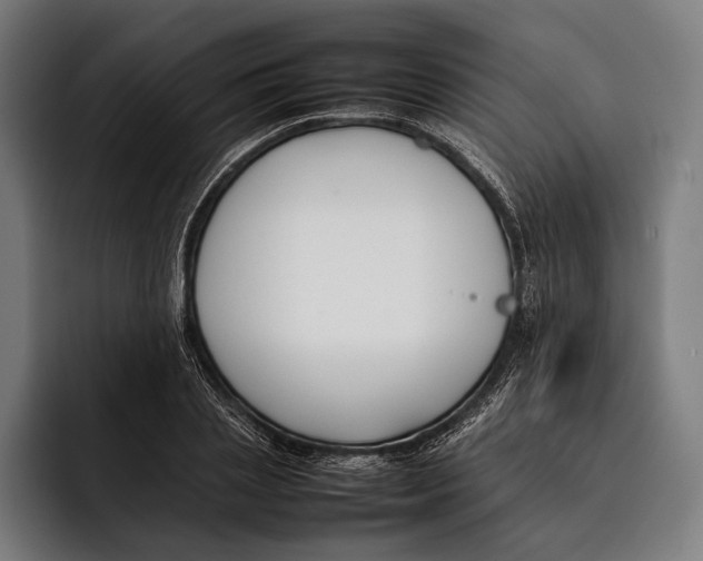 X0000092240837200710121235