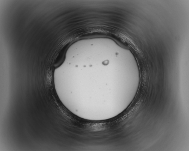 X0000092240841200710121235