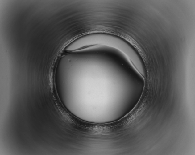 X0000092240842200710121235