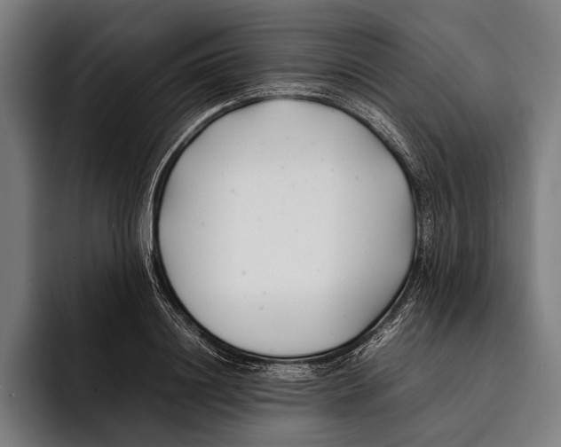X0000092240844200710121235