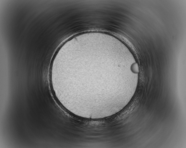 X0000092240847200710121235
