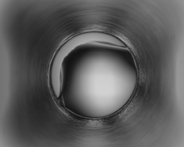 X0000092240850200710121235