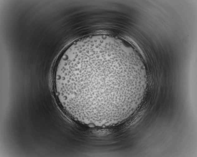 X0000092240851200710121235