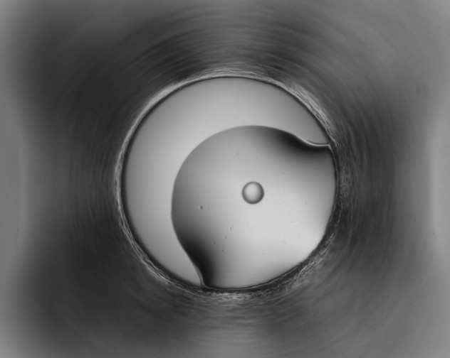 X0000092240854200710121235