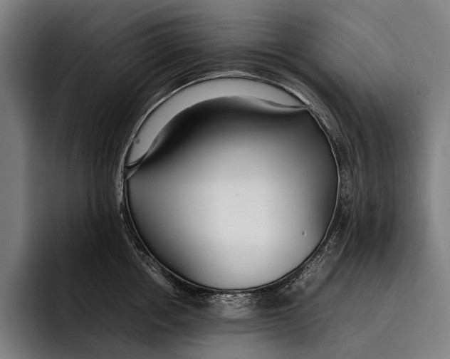 X0000092240858200710121235