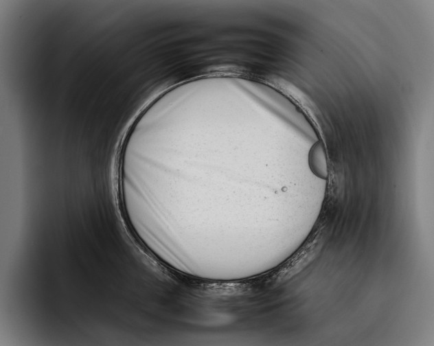 X0000092240859200710121235