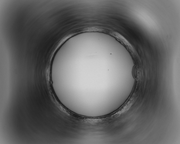 X0000092240860200710121235