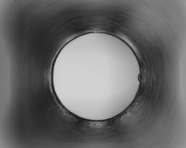 X0000092240861200710121235