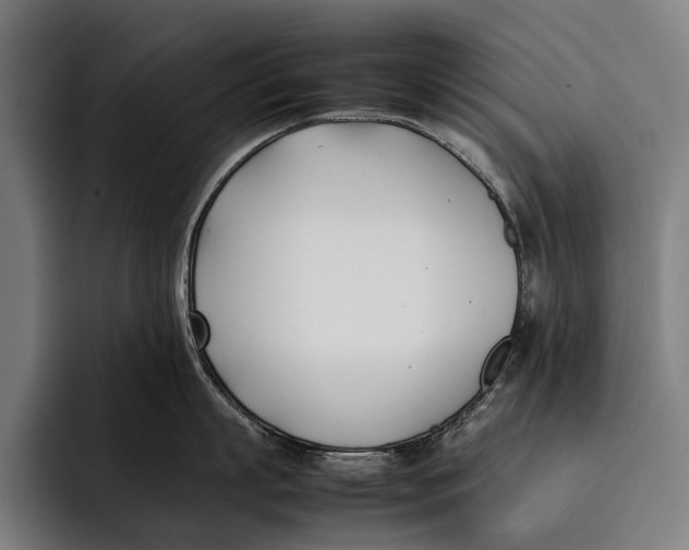 X0000092240863200710121235