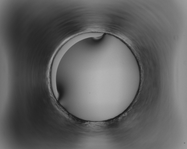 X0000092240864200710121235