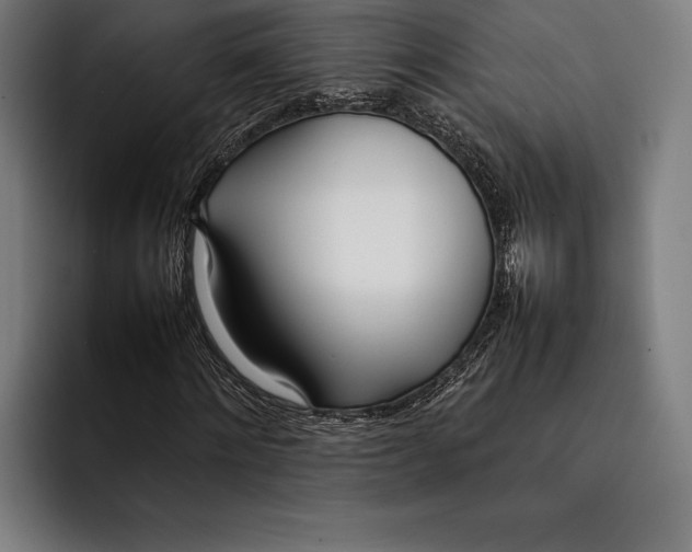 X0000092240868200710121235