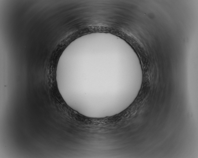 X0000092240870200710121235