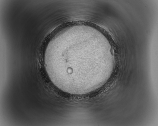X0000092240871200710121235