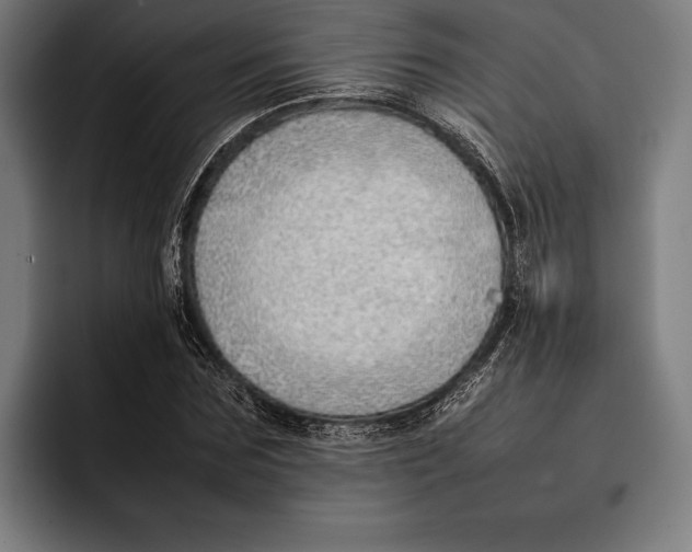 X0000092240875200710121235