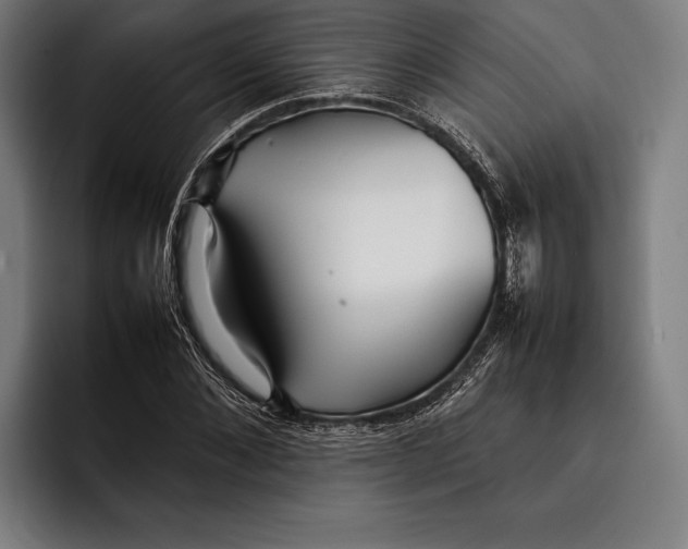 X0000092240876200710121235