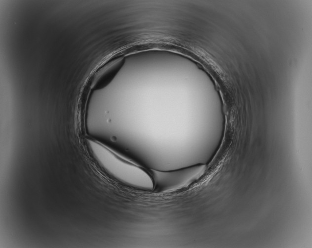 X0000092240877200710121235