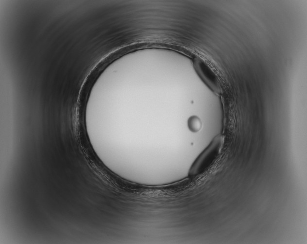 X0000092240880200710121235