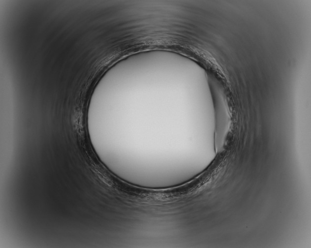 X0000092240881200710121235