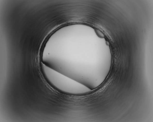 X0000092240884200710121235