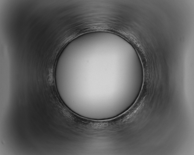 X0000092240889200710121234