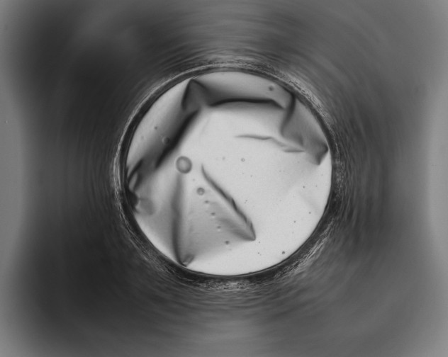 X0000092240891200710121234
